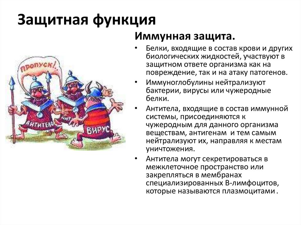 Защитная функция