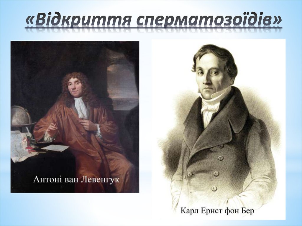«Відкриття сперматозоїдів»