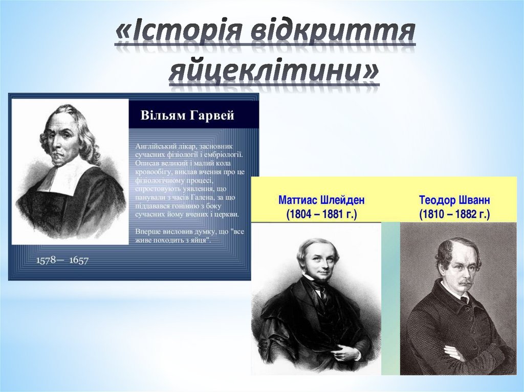 «Історія відкриття яйцеклітини»
