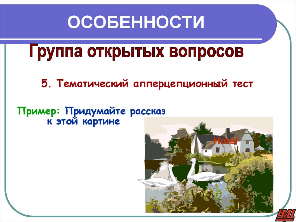 ОСОБЕННОСТИ