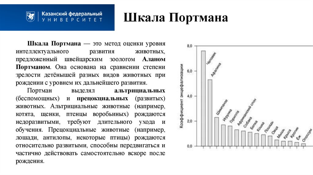 Шкала Портмана