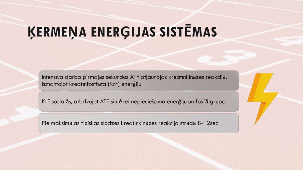 Ķermeņa enerģijas sistēmas