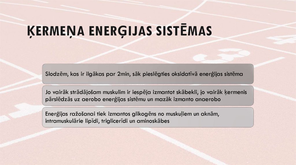 Ķermeņa enerģijas sistēmas