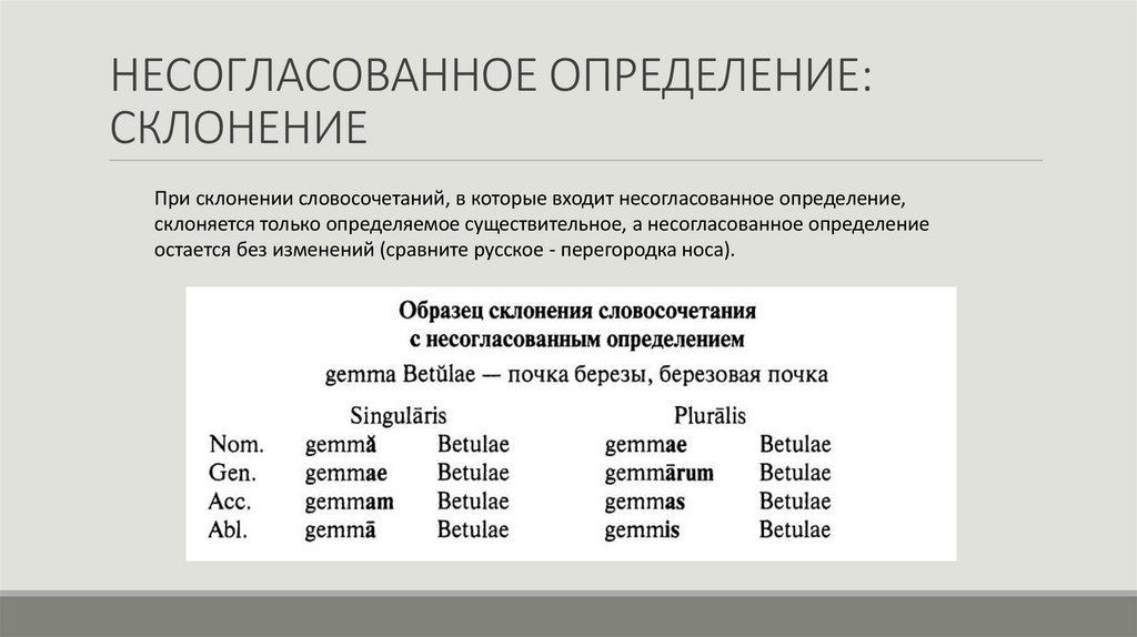 НЕСОГЛАСОВАННОЕ ОПРЕДЕЛЕНИЕ: СКЛОНЕНИЕ