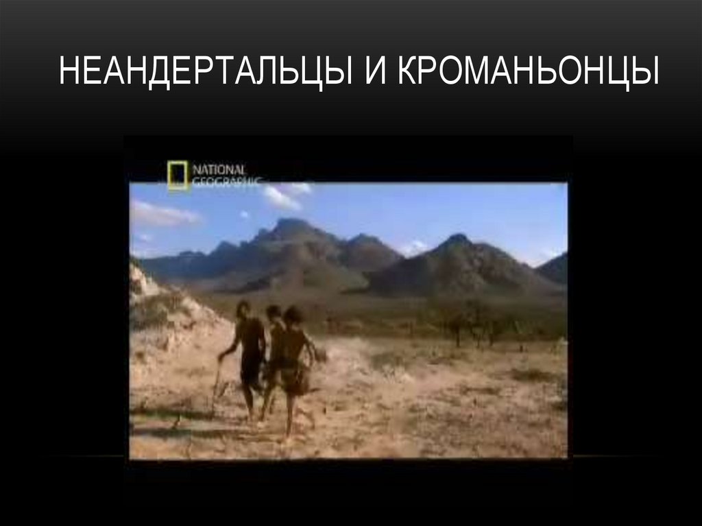 Неандертальцы и кроманьонцы