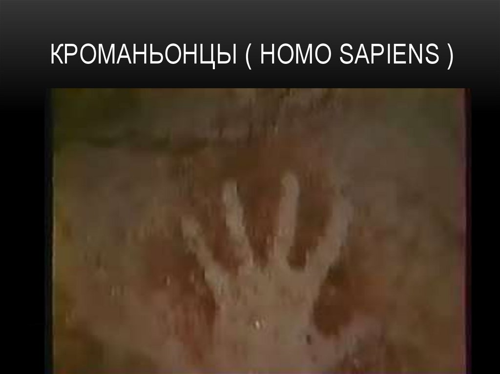 Кроманьонцы ( homo sapiens )