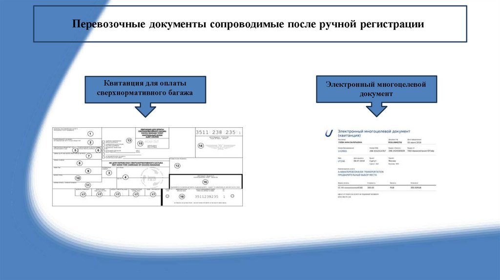 Перевозочные документы сопроводимые после ручной регистрации