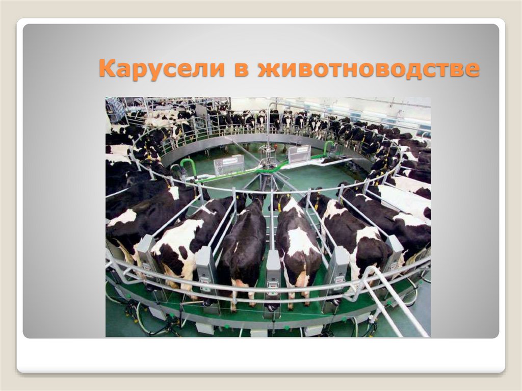 Карусели в животноводстве