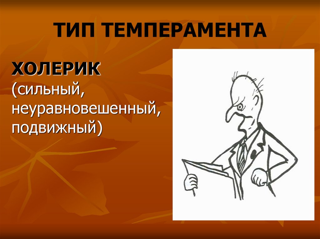 ТИП ТЕМПЕРАМЕНТА