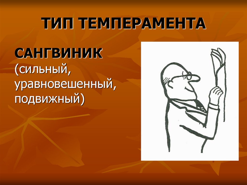 ТИП ТЕМПЕРАМЕНТА