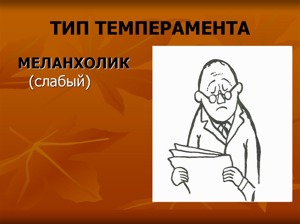 ТИП ТЕМПЕРАМЕНТА