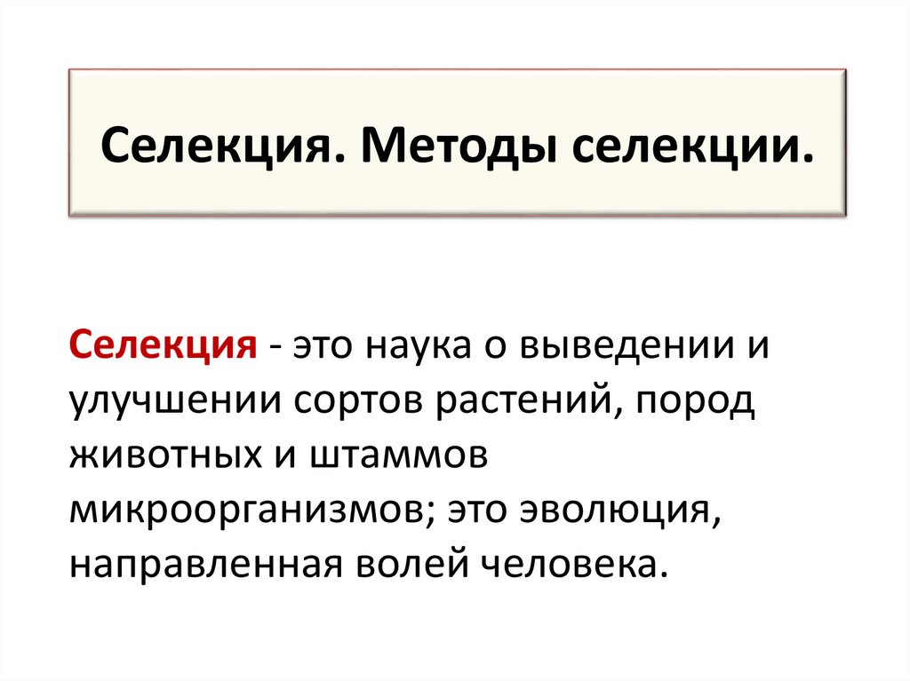 Селекция. Методы селекции.