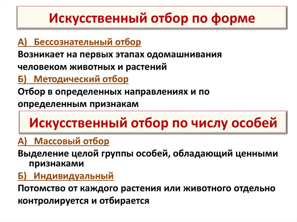 Искусственный отбор по форме