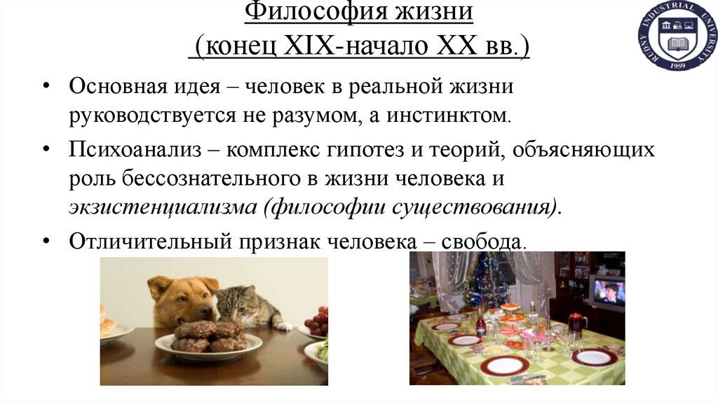 Философия жизни (конец XIX-начало XX вв.)