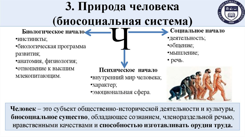 3. Природа человека (биосоциальная система)