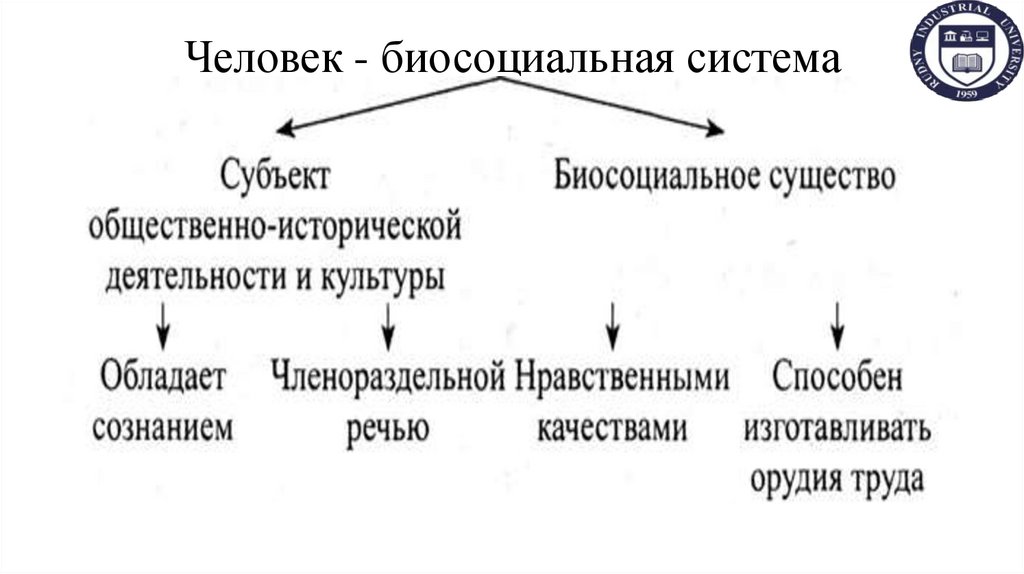 Человек - биосоциальная система