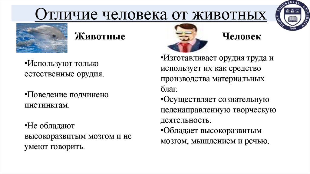 Отличие человека от животных