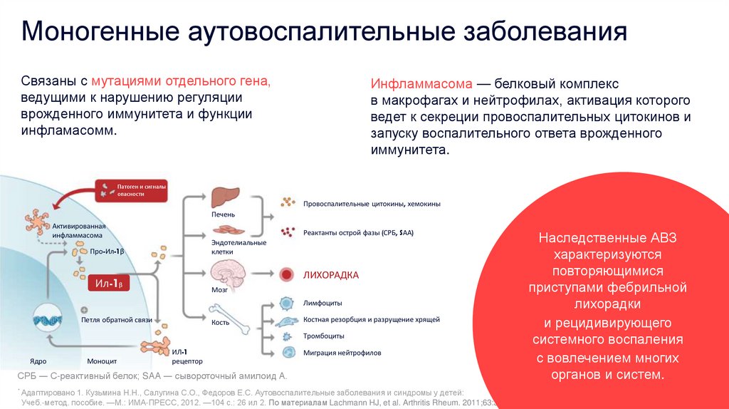 Моногенные аутовоспалительные заболевания
