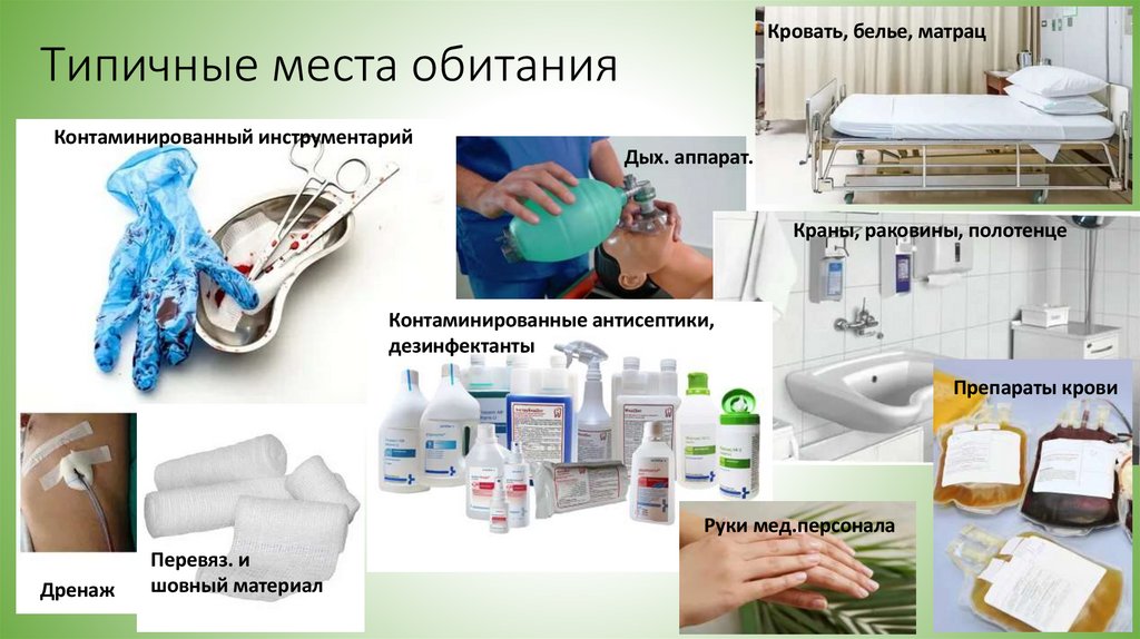 Типичные места обитания