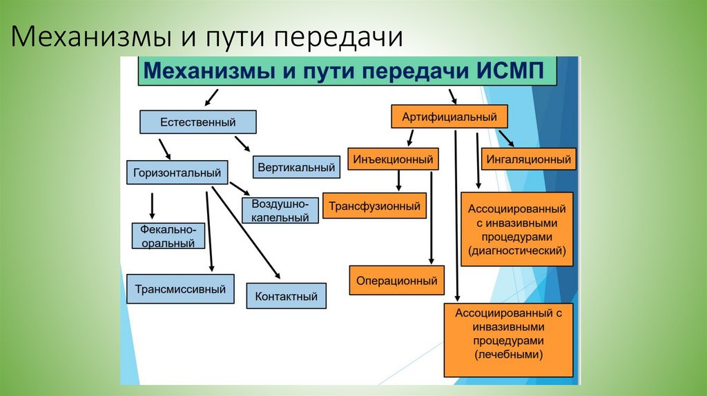 Механизмы и пути передачи