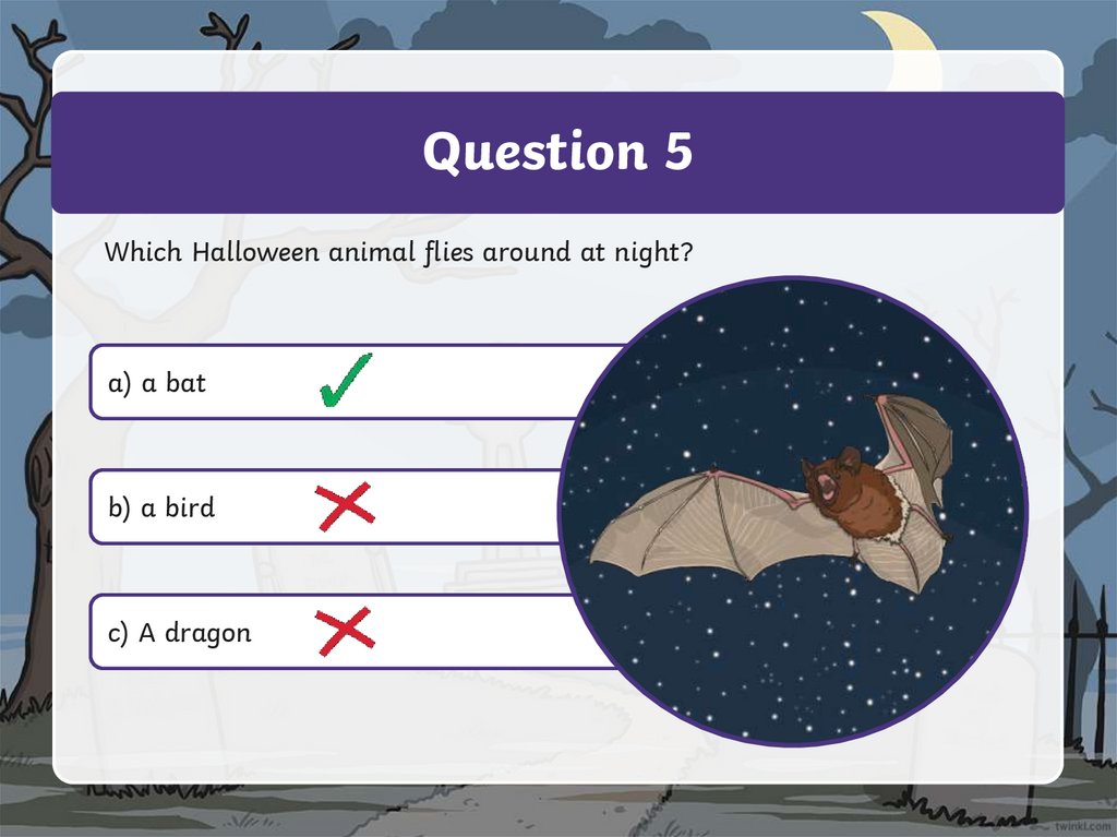 Question 5