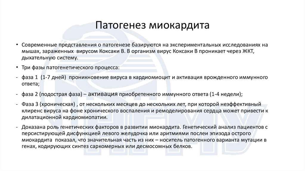 Патогенез миокардита