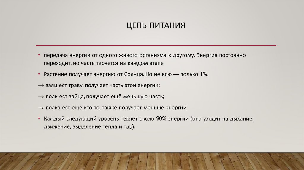 Цепь питания