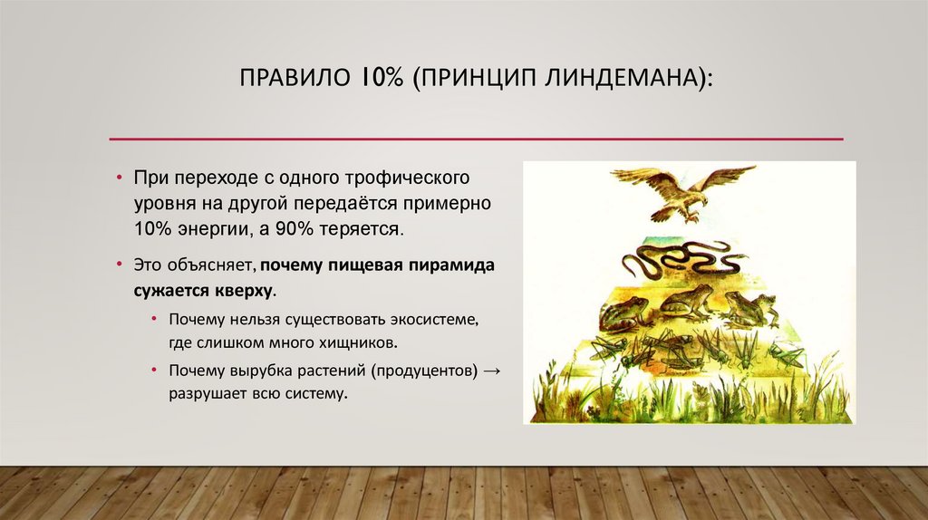 правило 10% (принцип Линдемана):