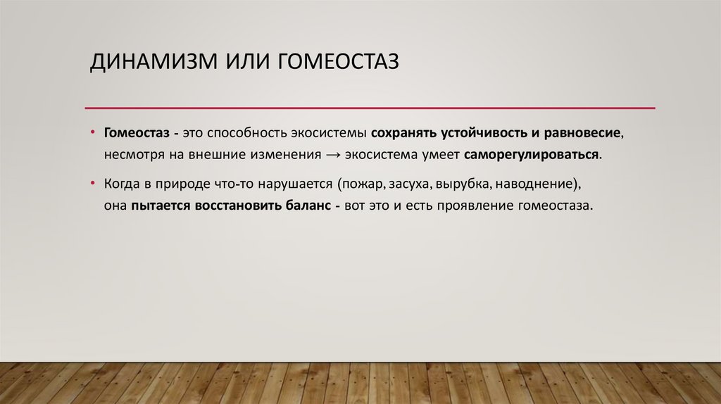 Динамизм или гомеостаз