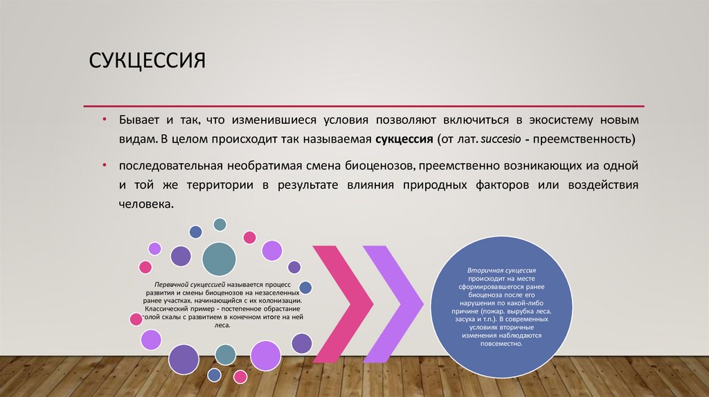 сукцессия