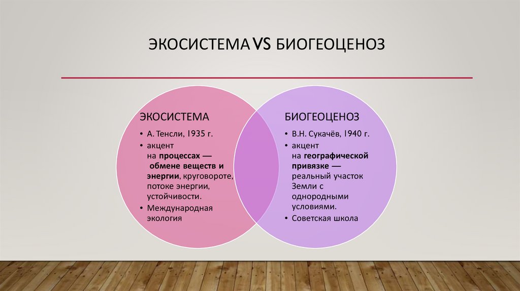 Экосистема vs биогеоценоз