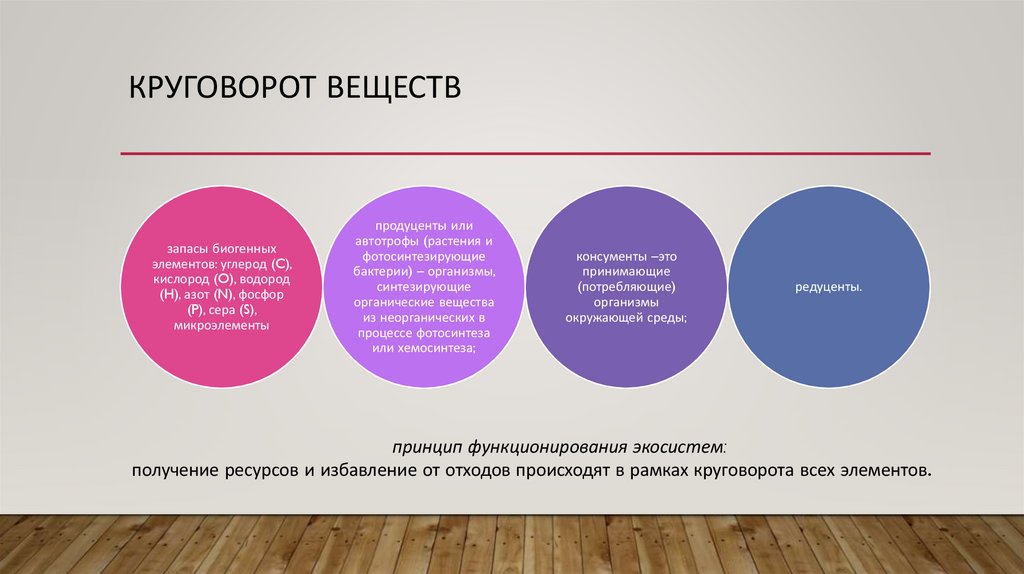 Круговорот веществ