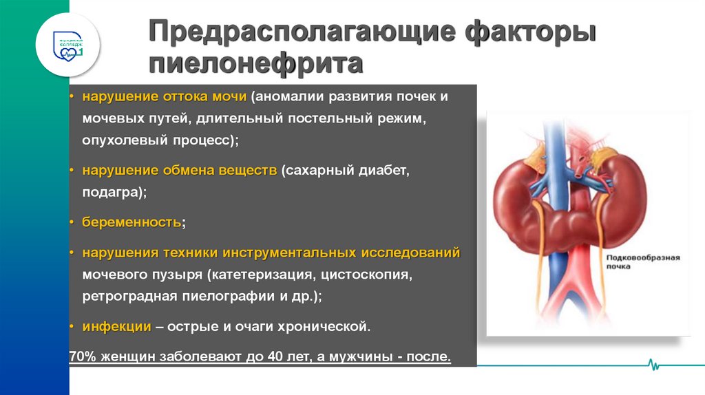 Предрасполагающие факторы пиелонефрита