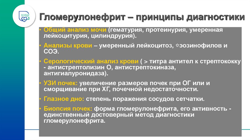 Гломерулонефрит – принципы диагностики