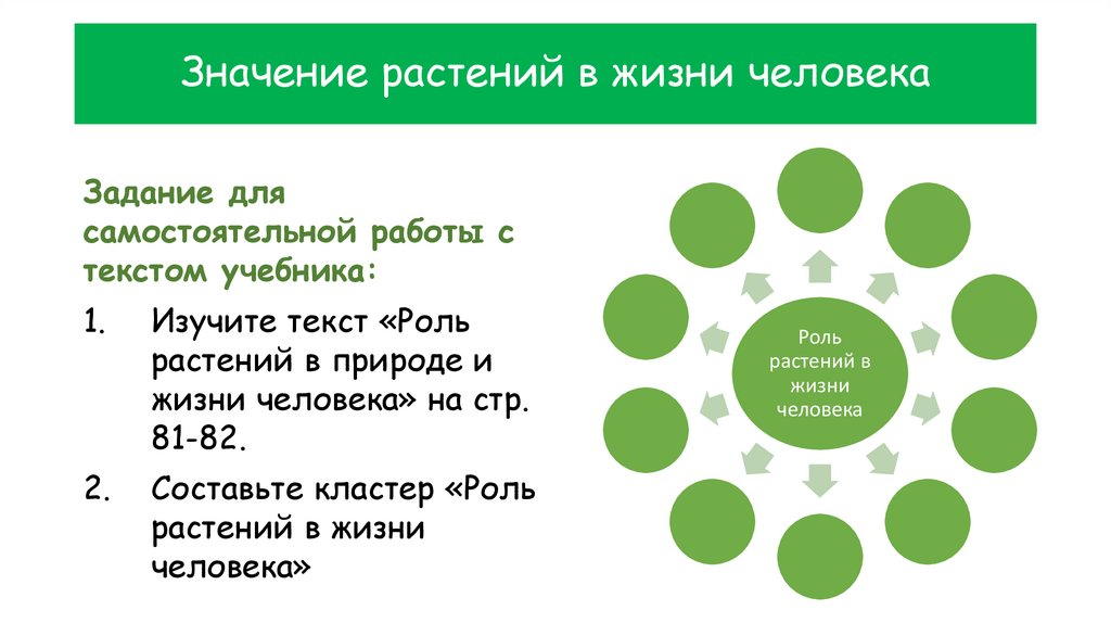 Значение растений в жизни человека