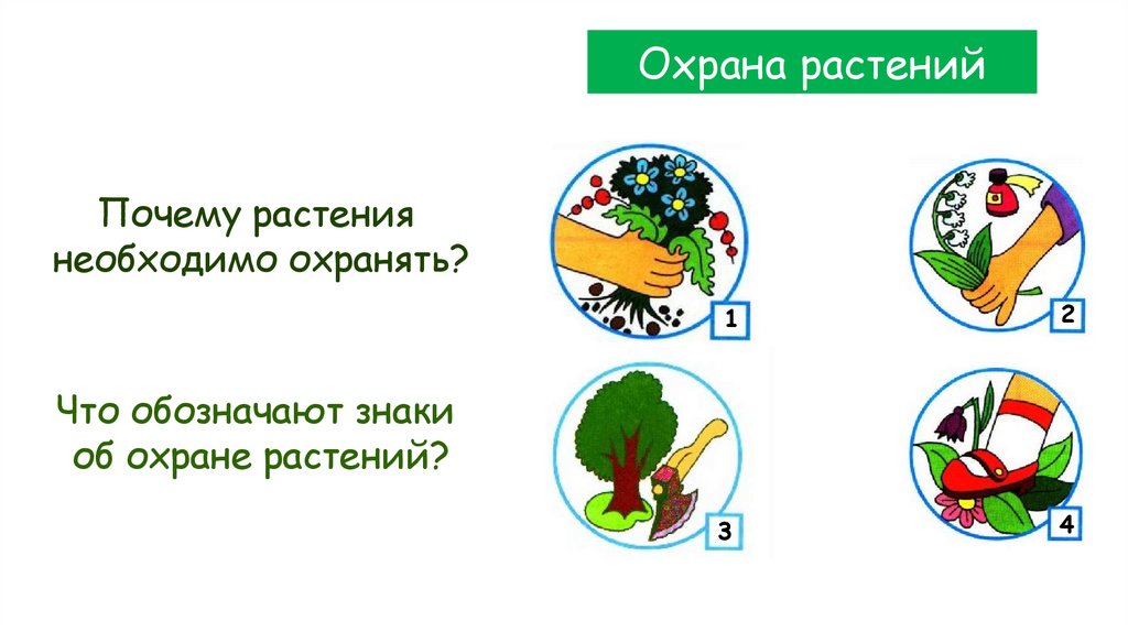 Охрана растений