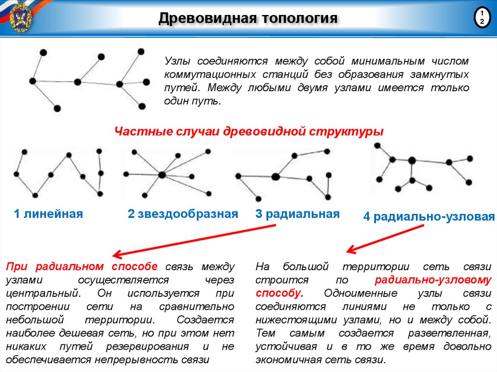Древовидная топология