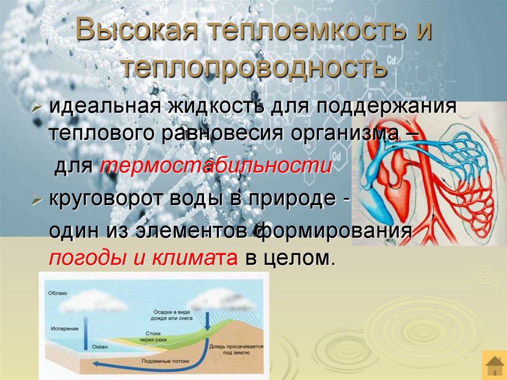 Высокая теплоемкость и теплопроводность