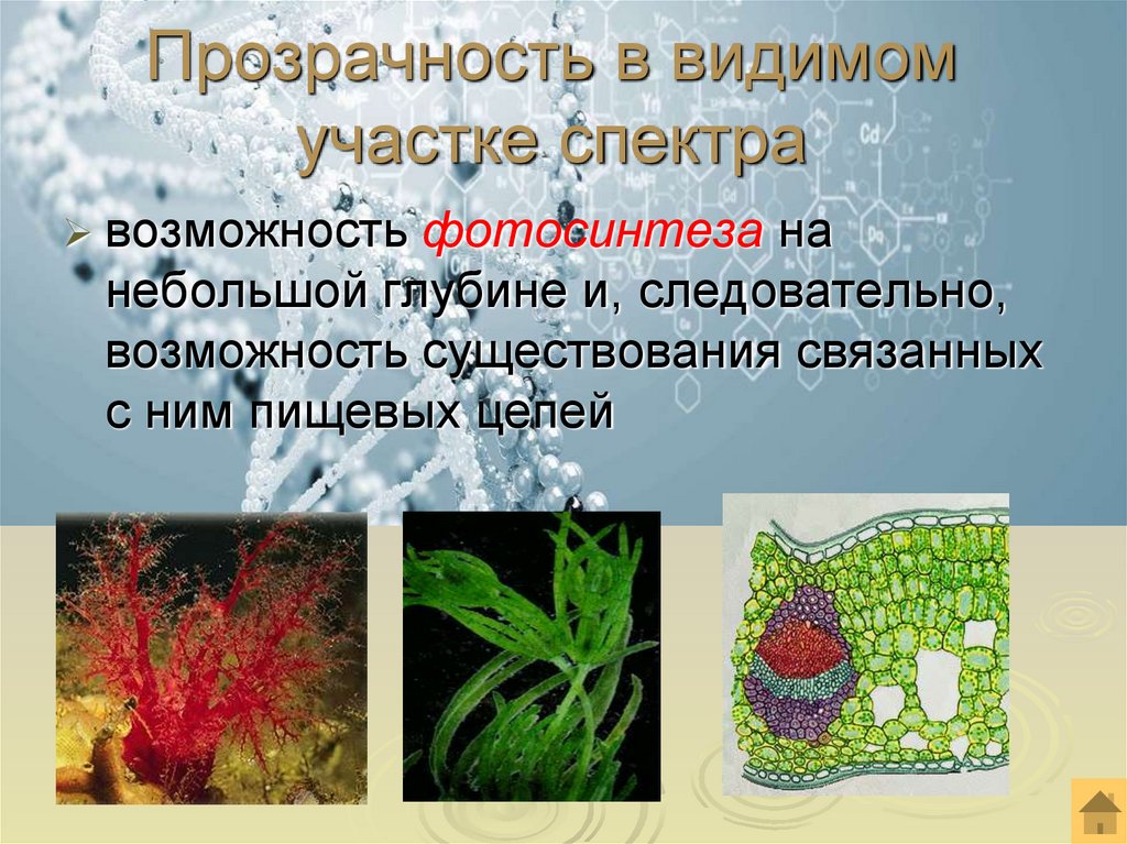 Прозрачность в видимом участке спектра