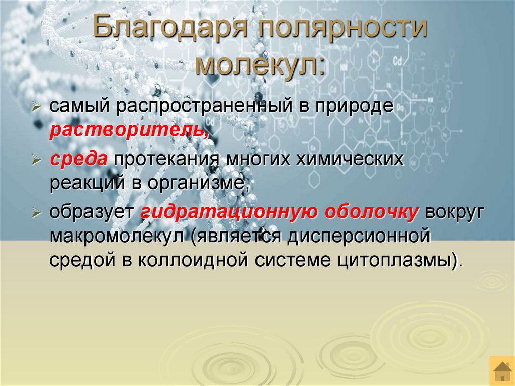 Благодаря полярности молекул: