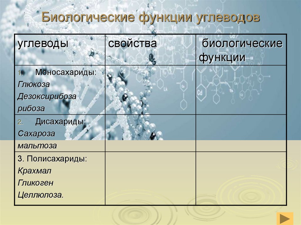Биологические функции углеводов