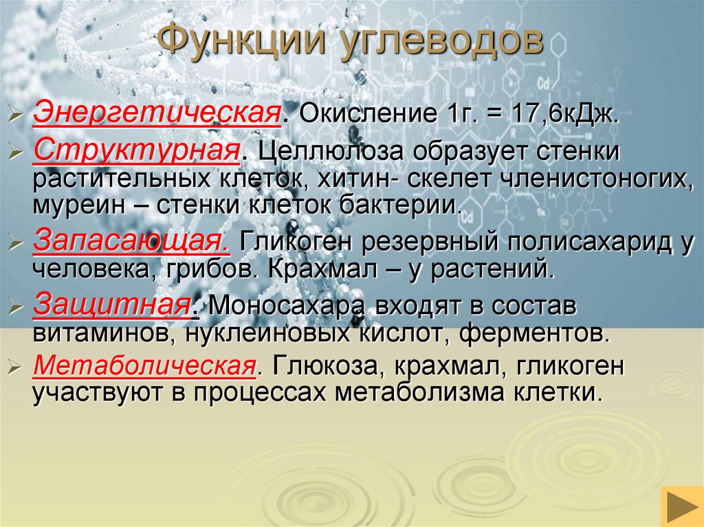 Функции углеводов