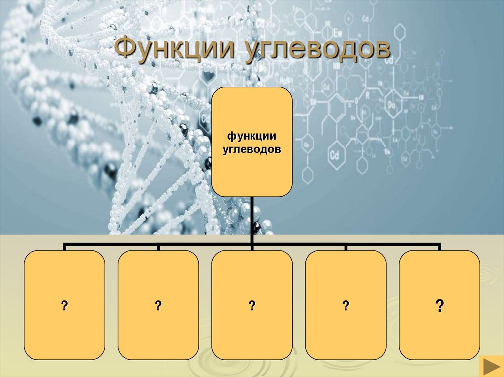Функции углеводов