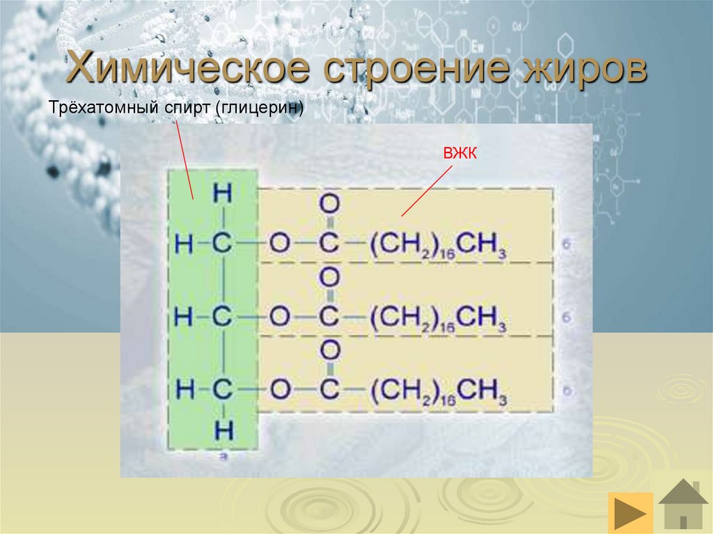Химическое строение жиров