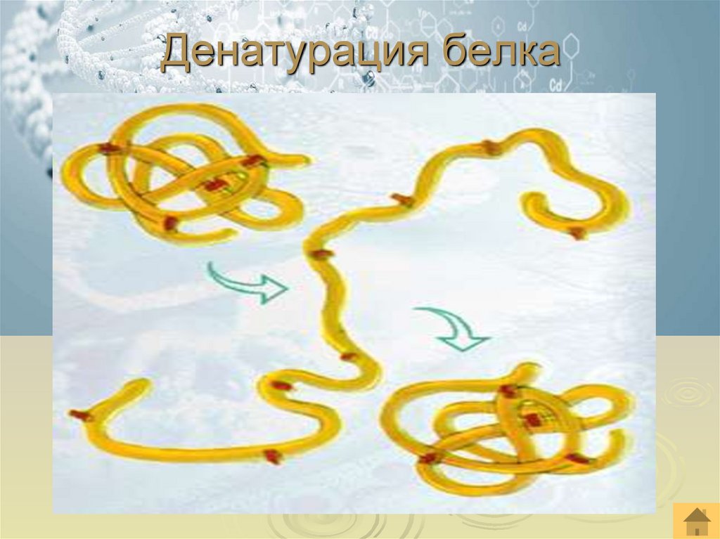 Денатурация белка