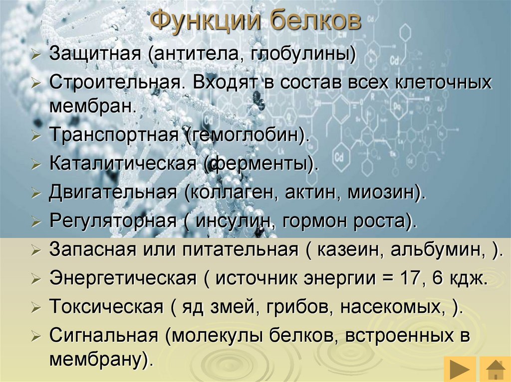 Функции белков