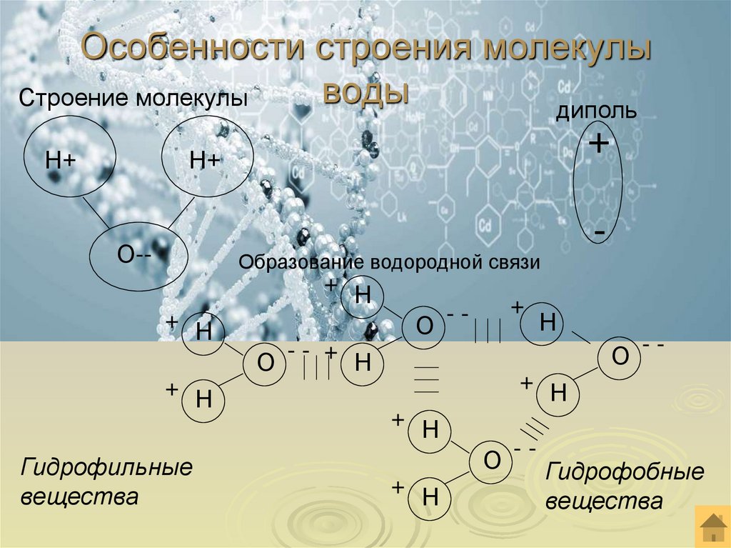 Особенности строения молекулы воды