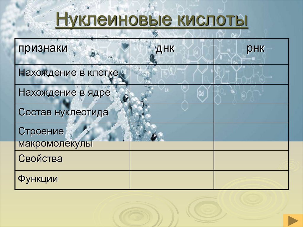 Нуклеиновые кислоты