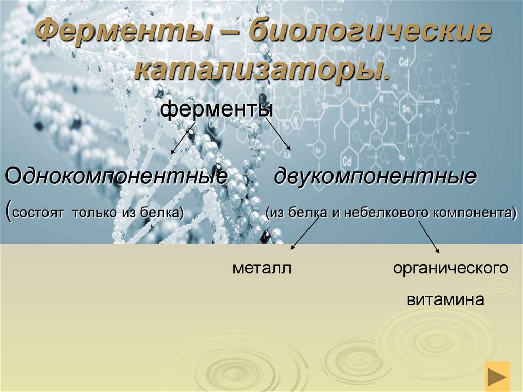Ферменты – биологические катализаторы.