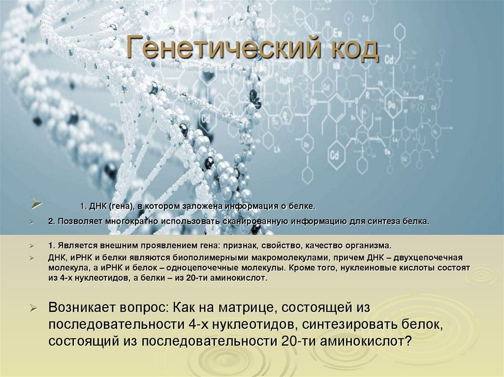 Генетический код